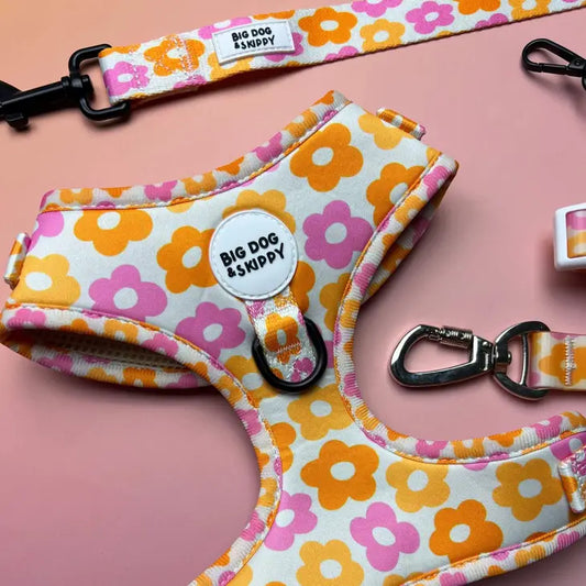 Pocket of Posies Harness by Big Dog & Skippy