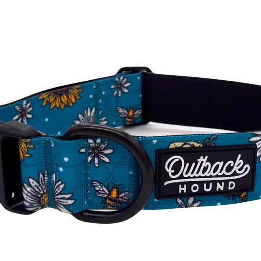 Outback Hound Bee's Knees Teal Trail Collar