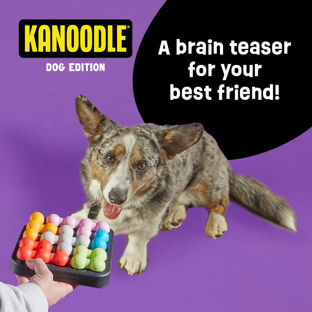 BRIGHTKINS Kanoodle Dog Puzzle