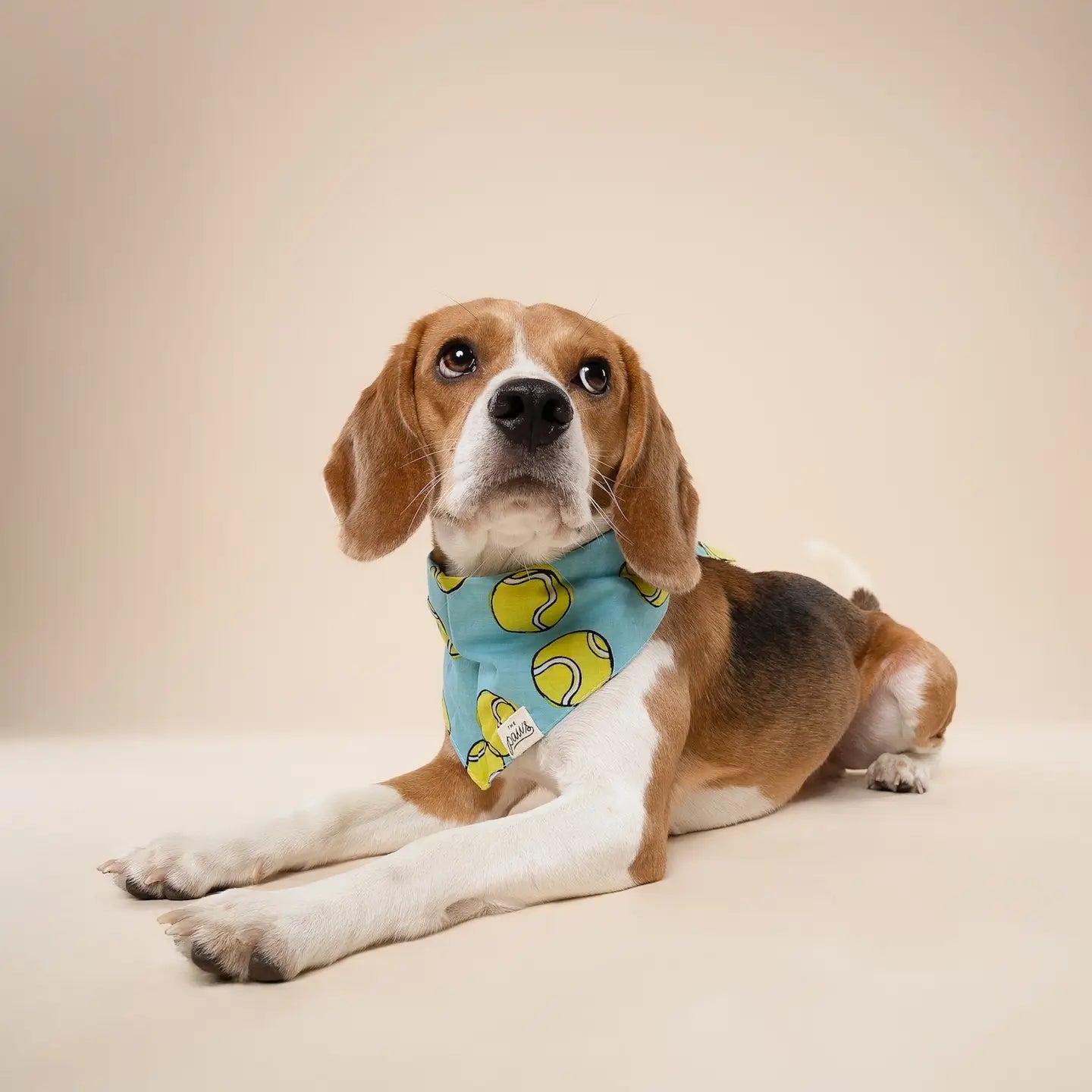 Fetch Bandana