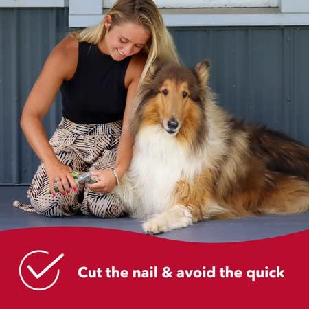 Nail Clippers | Coastal Pet