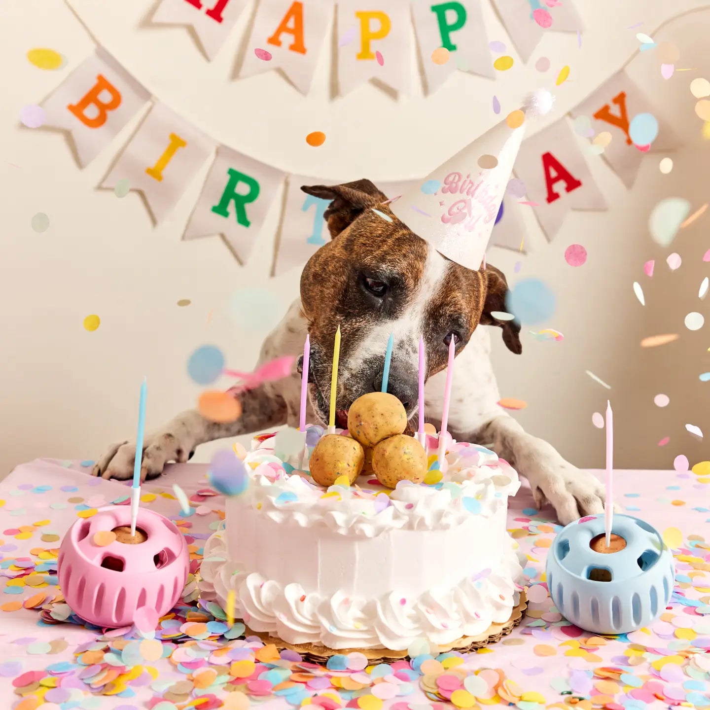 Woof Pupsicle Pops- Birthday