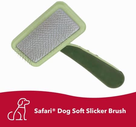 Slicker Brush