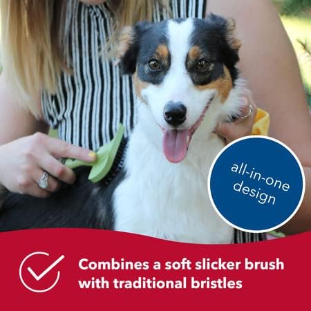 Longhair Breed Dog Brush | Coastal Pet