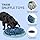 Snuffle & Seek Bowl | Trixie