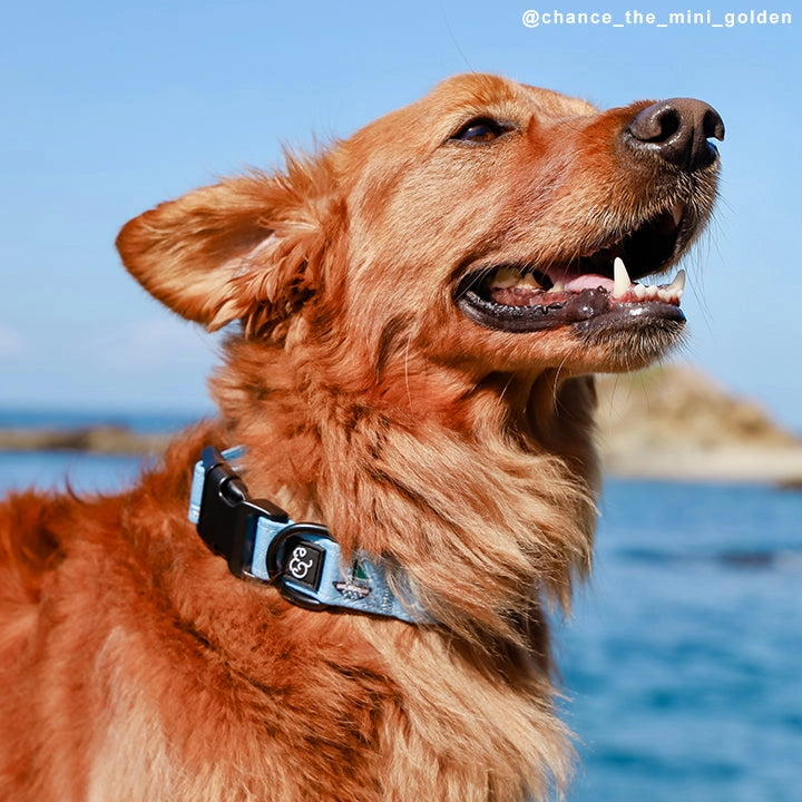 Set Sail Collar | Lucy & Co