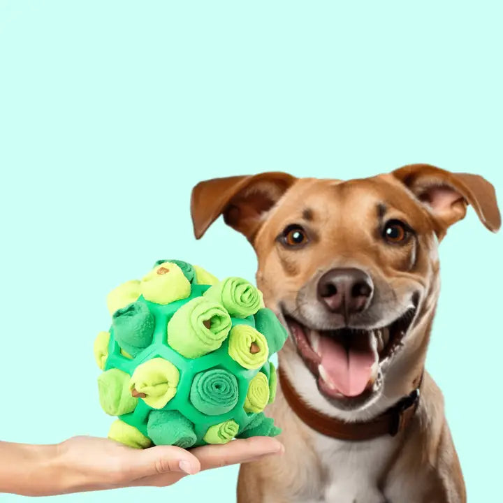 Interactive Dog Forager Ball | Reggie