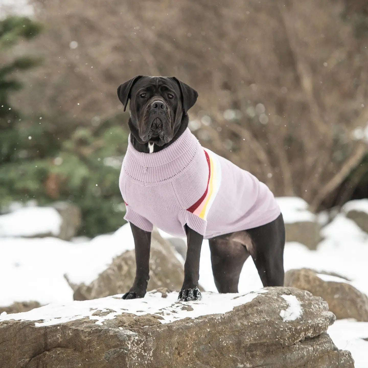 Lavender Retro Sweater