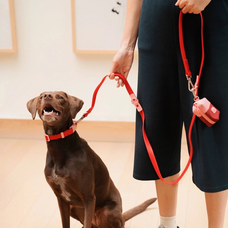 The Fritz Leash | Cherry