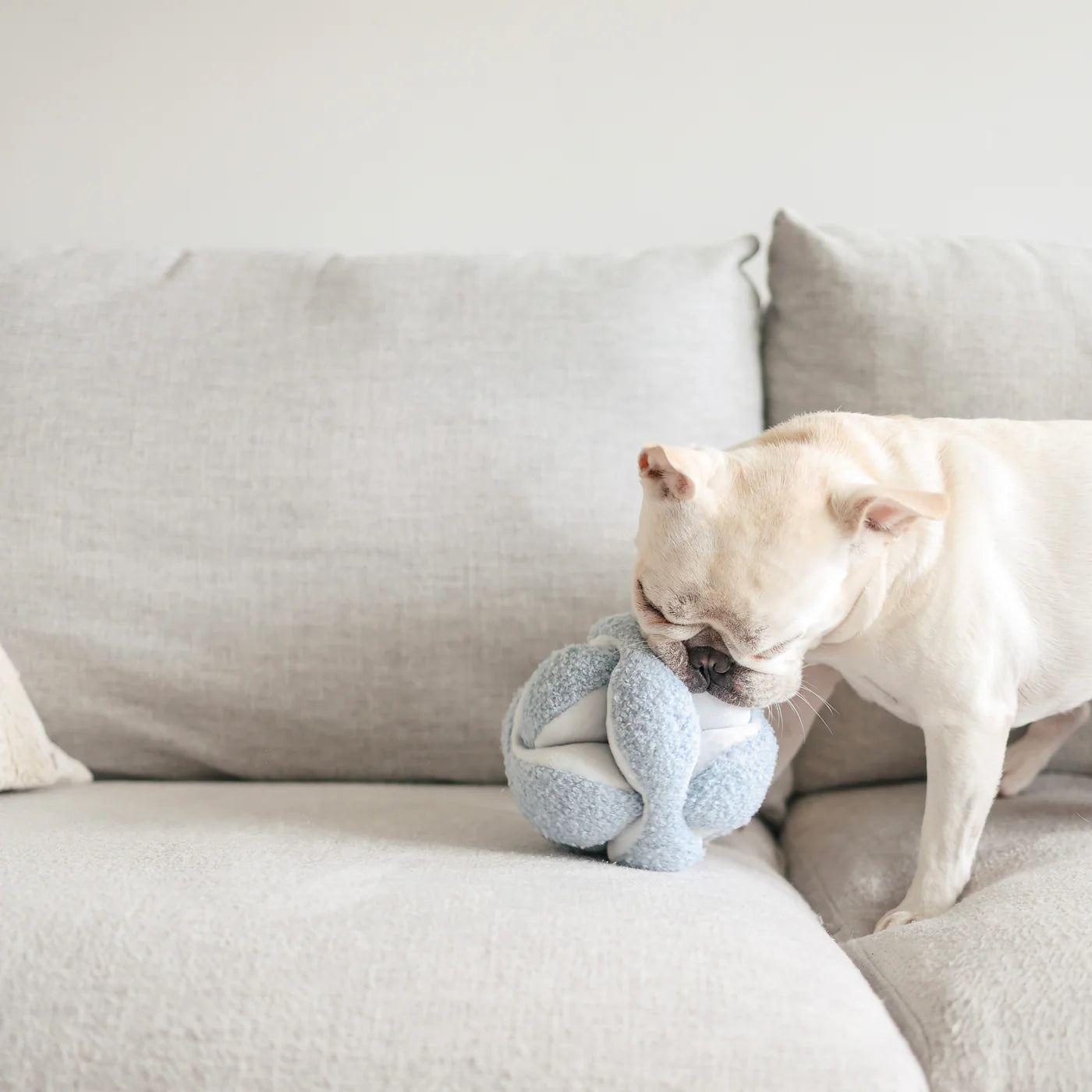 Monti Snuffle Ball | Lambwolf