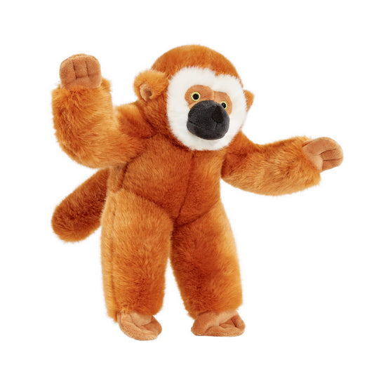 Marcel Monkey Plush Toy