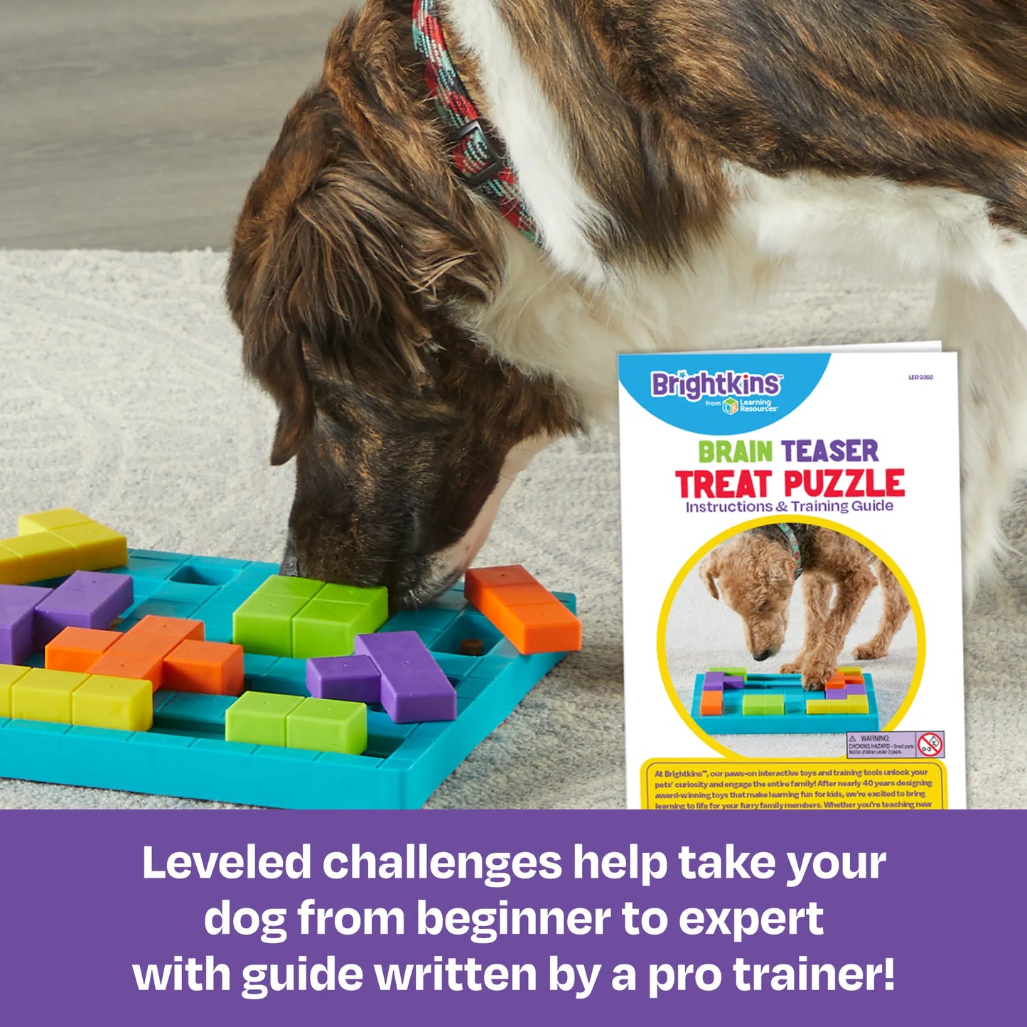 BRIGHTKINS Brain Teaser Treat Puzzle