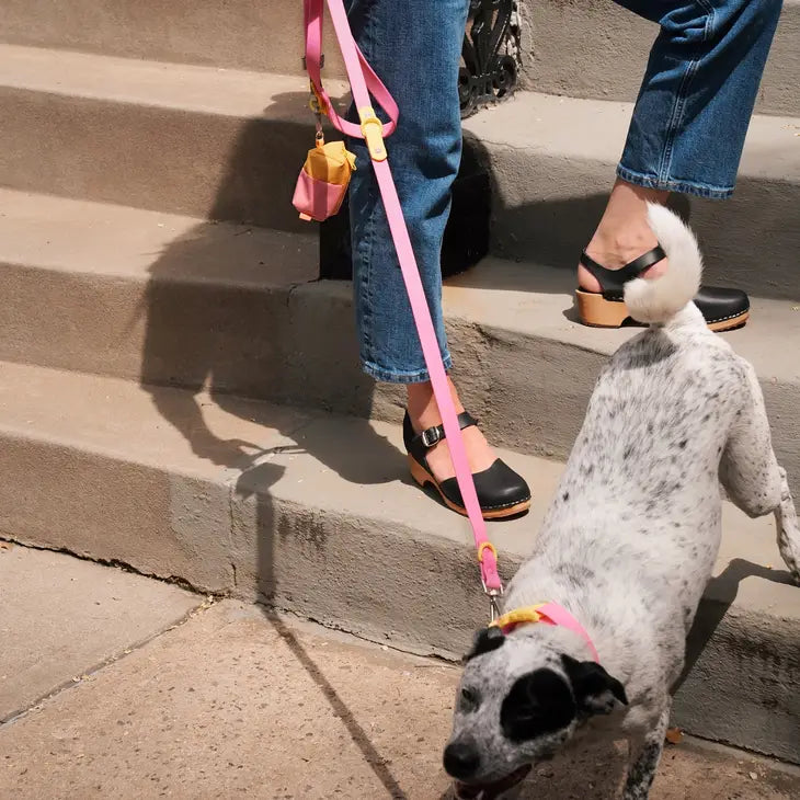 The Fritz Collar Durable, Waterproof & Two-Tone | Pink