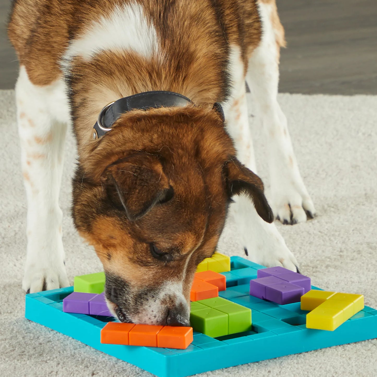 BRIGHTKINS Brain Teaser Treat Puzzle