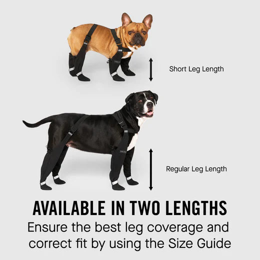 Black Suspender Boots- Dog Boots