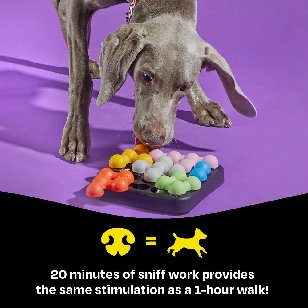 BRIGHTKINS Kanoodle Dog Puzzle