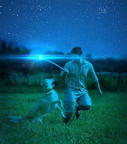 ChuckIt Glow Ball
