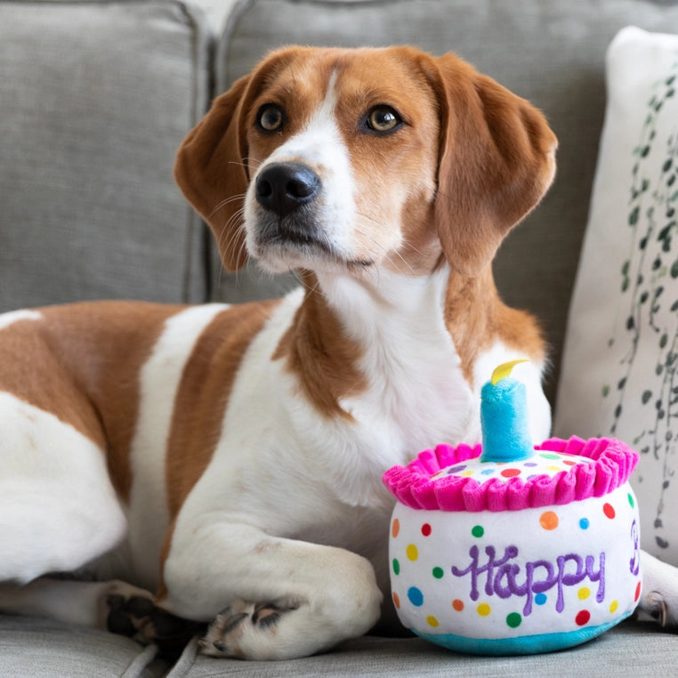 "Happy Barkday" Plush Cake For Dogs