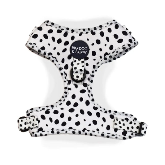 Lots of Spots Harness by Big Dog & Skippy