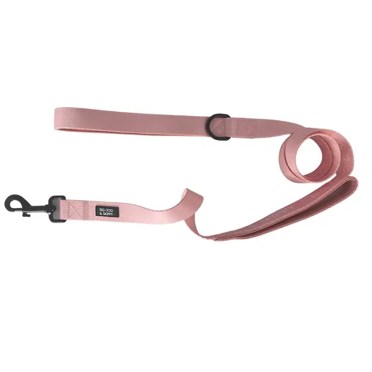 Bubblegum Traffic Lead Leash by Big Dog & Skippy