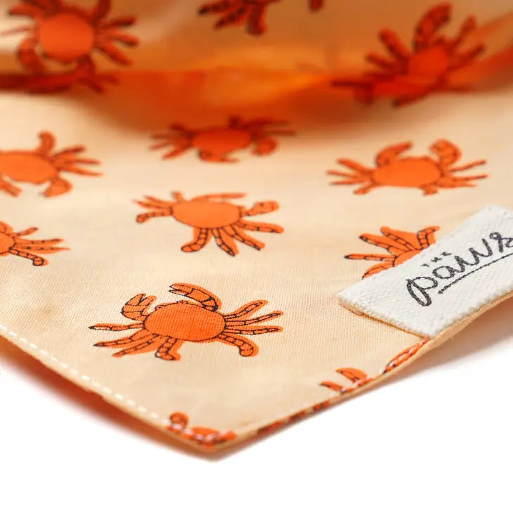 Banks Dog Bandana | The Paws