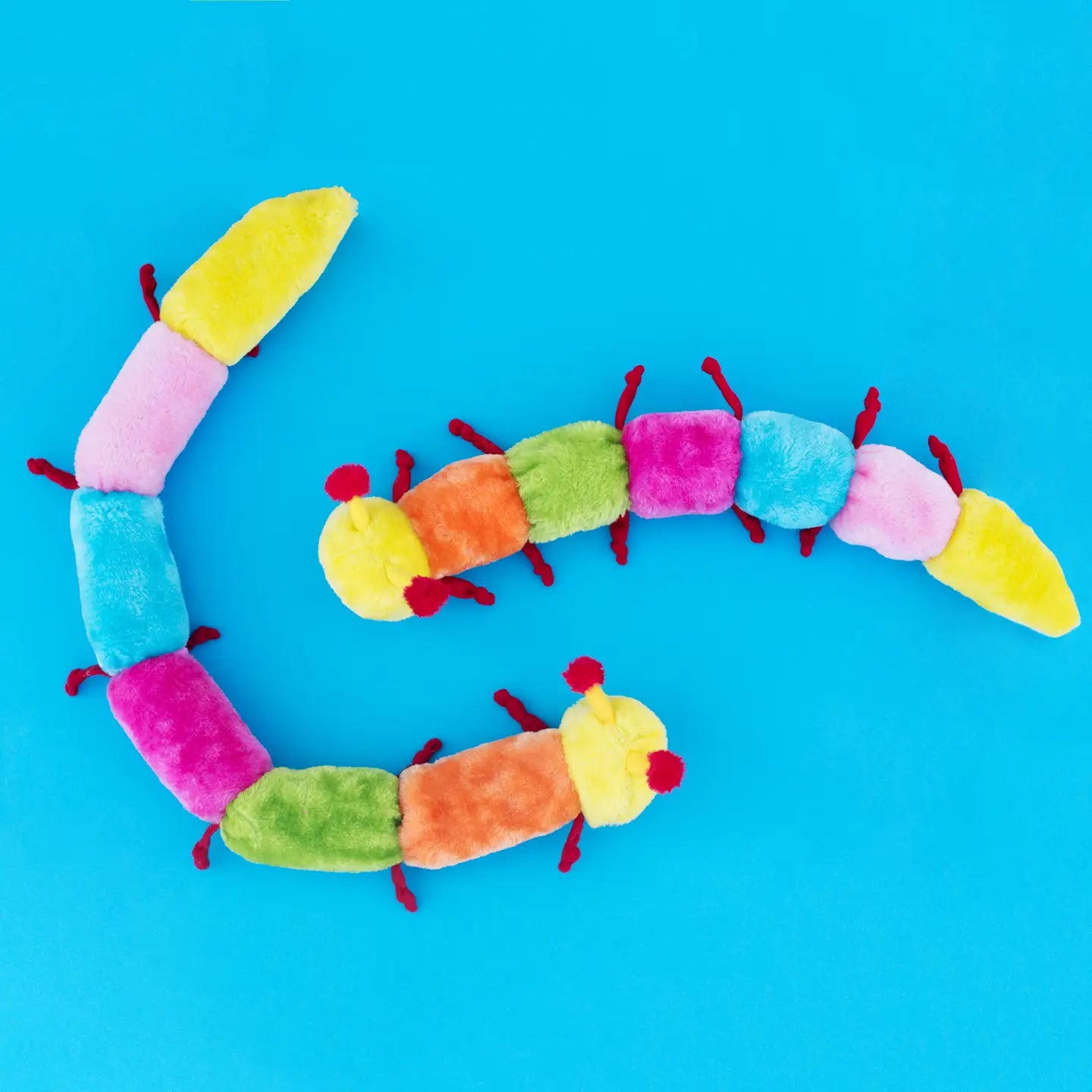 Caterpillar Toy | ZippyPaws