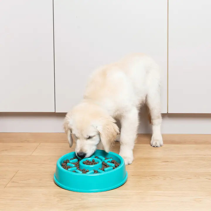 DONUT- Happy Bowl Slow Feeder