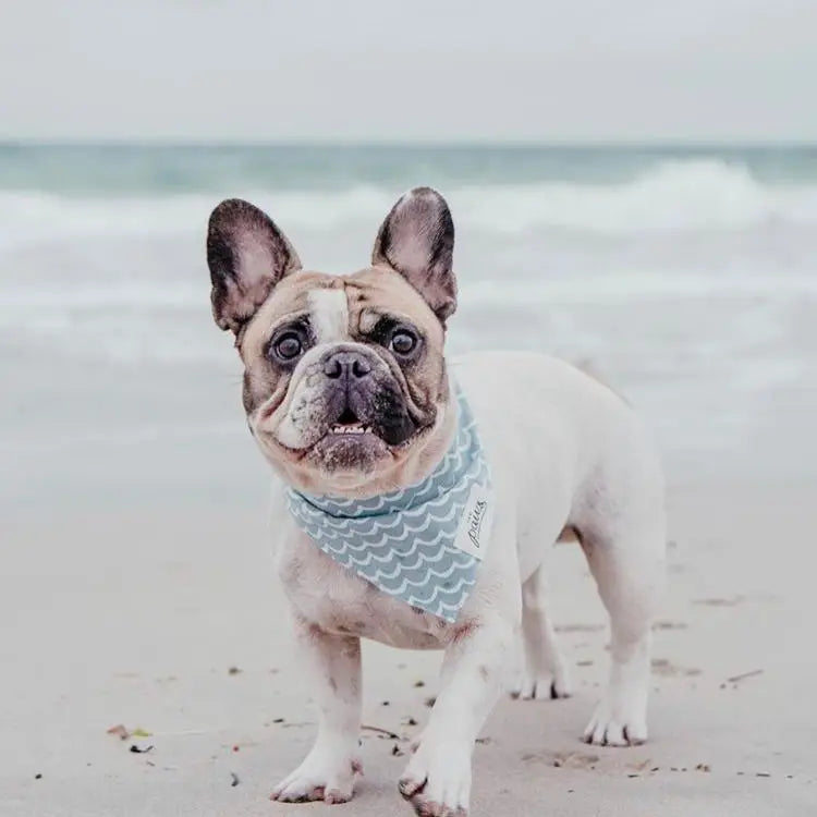 Perfect Wave Bandana