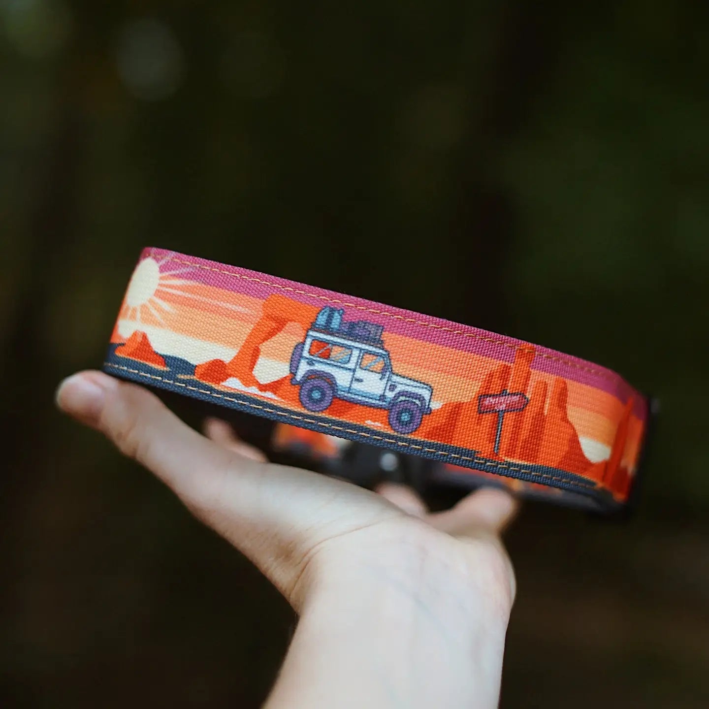 Outback Hound Adventure On Dog Collar