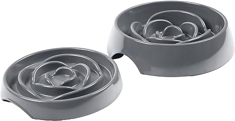 Interactive Slow Dog Feeder