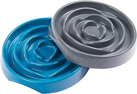 Interactive Slow Dog Feeder