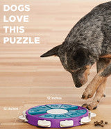 Dog Twister Puzzle Toy | Outward Hound
