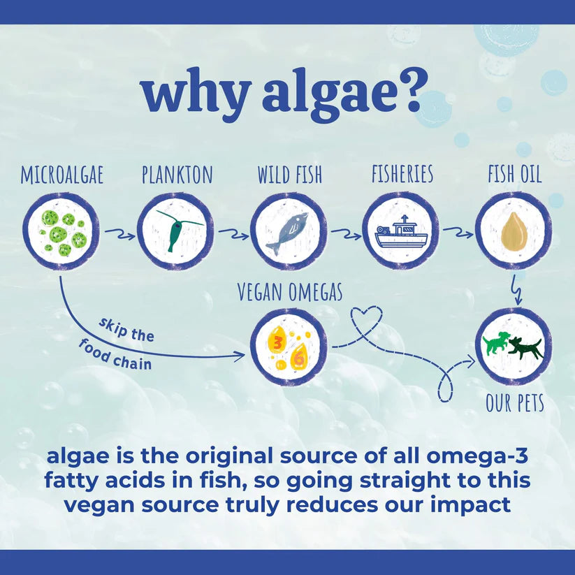 Austin & Kat Marine Algae Oil