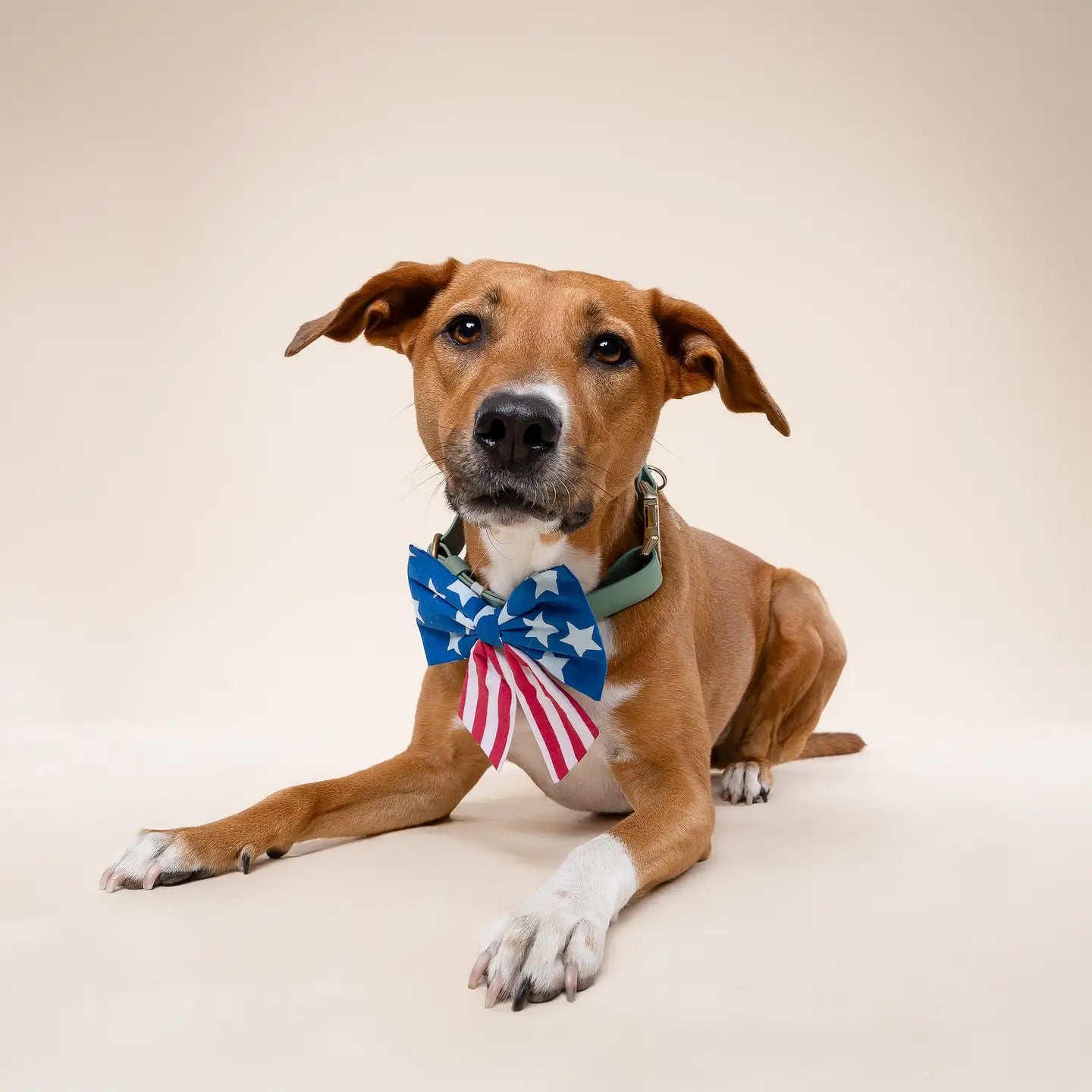 Patriotic Sailor Bow Tie