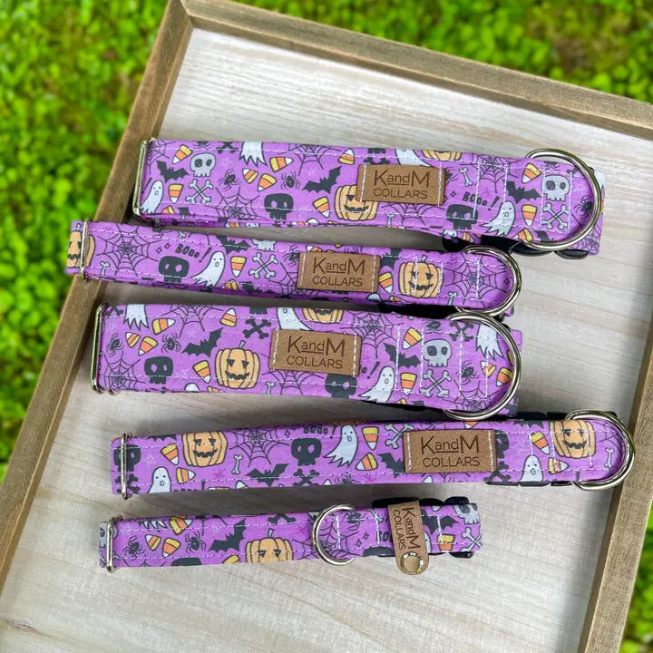 Purple Spooky Halloween Dog Collar