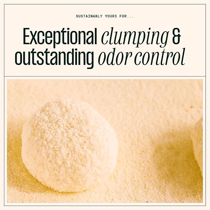 Small Grain Cat Litter | Sustainably Yours