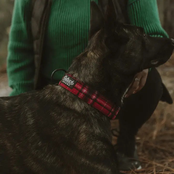 Outback Hound Red Flannel Premium Dog Collar