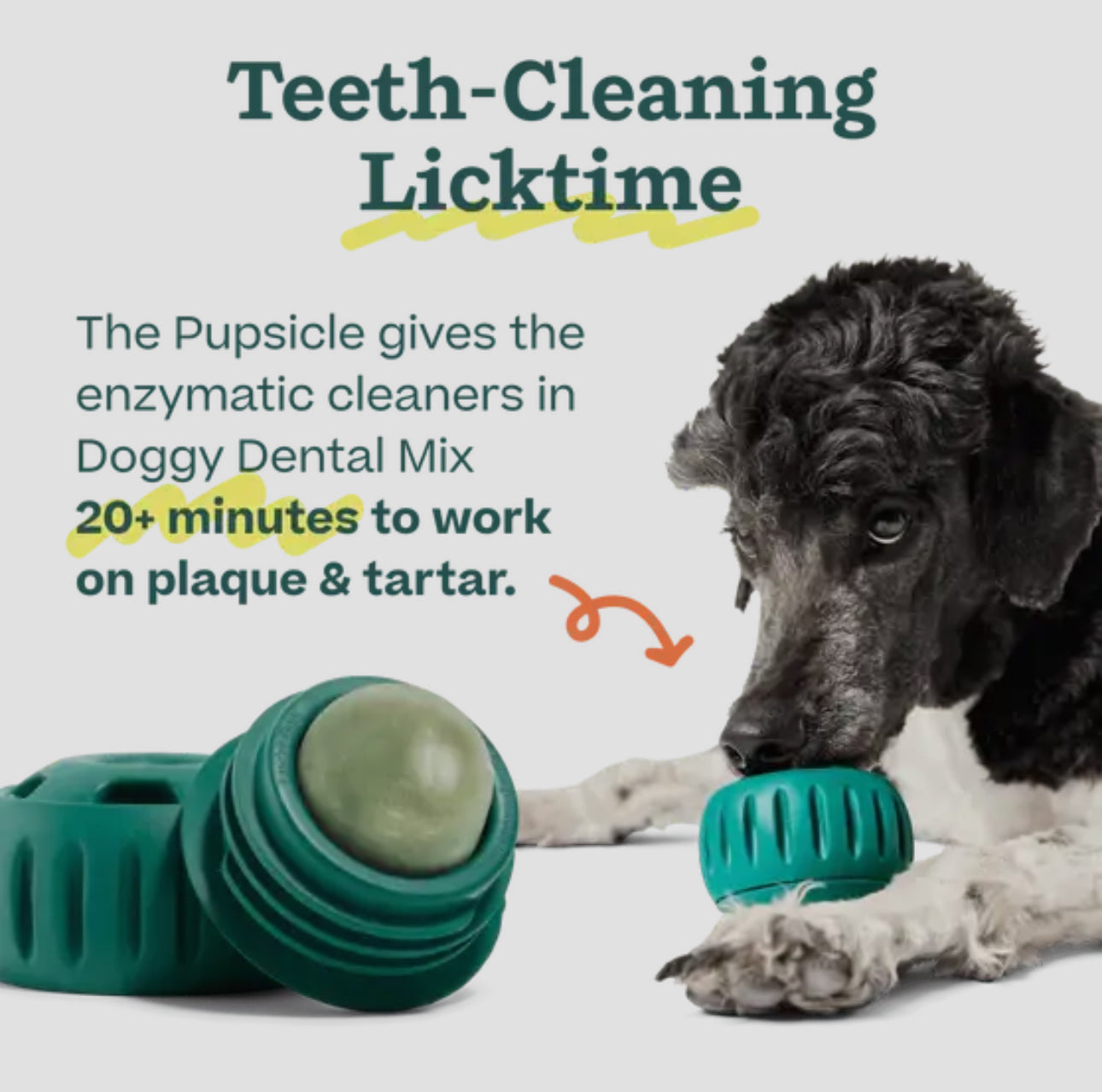 Woof Pupsicle Treat Mix- Doggy Dental Mix