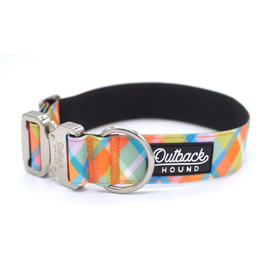 Outback Hound Summer Plaid Dog Collar