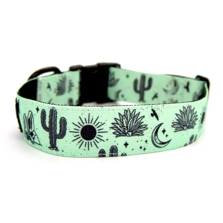 Outback Hound Agave Trail Collar