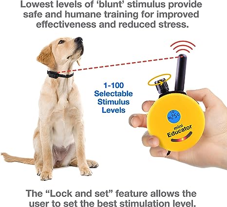 Mini Educator E-Collar