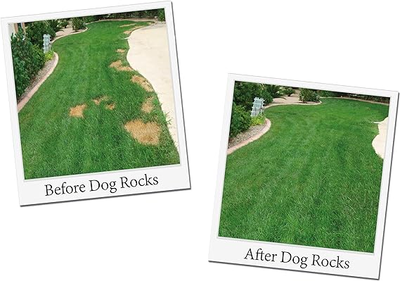 Dog Rocks- Grass Saver