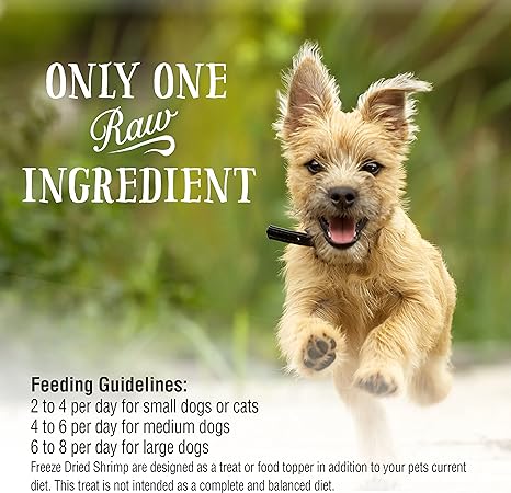 Raw Rewards Freeze Dried Shrimp | NWN