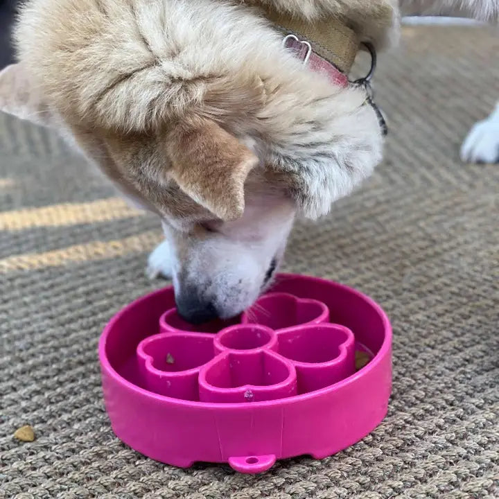 Soda Pup Purple Flower Slow Feeder