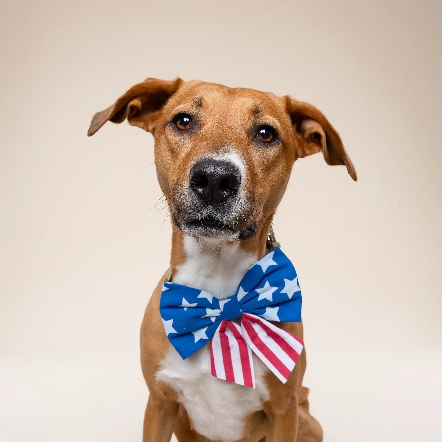 Patriotic Sailor Bow Tie