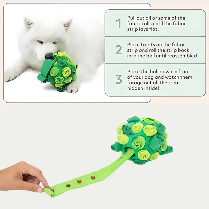 Interactive Dog Forager Ball | Reggie