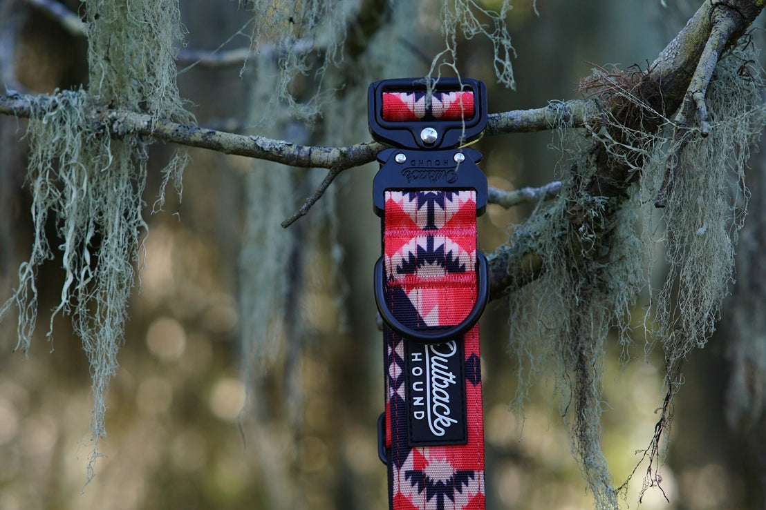 Outback Hound Aztec Trail Hound Collar