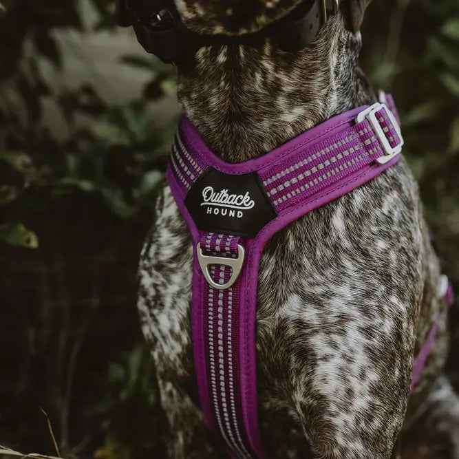 Outback Hound Ultra Lite Purple Comfort Harness