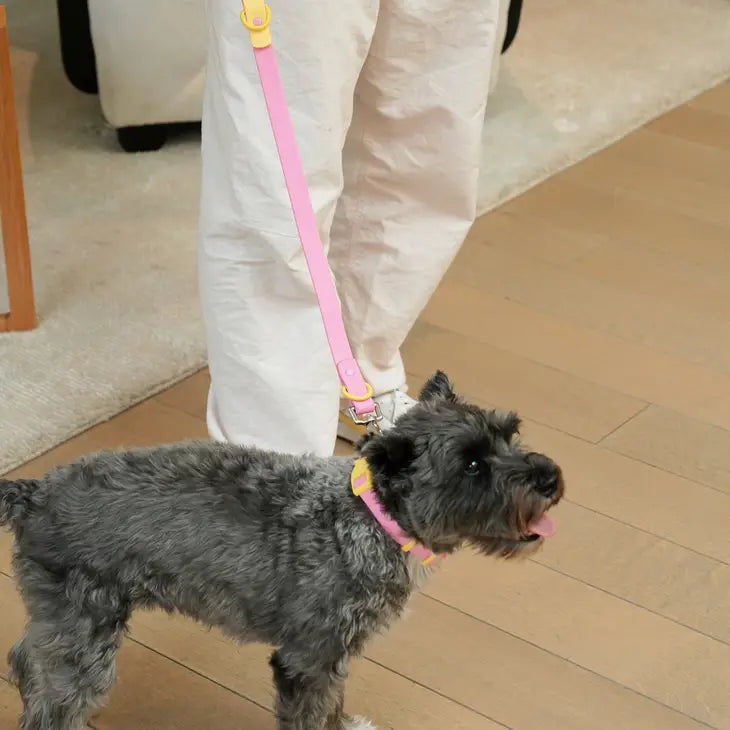 The Fritz Collar Durable, Waterproof & Two-Tone | Pink