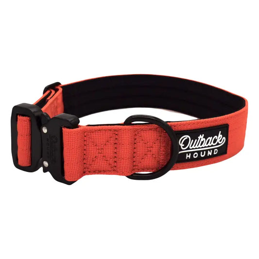 Outback Hound Burnt Orange Premium Dog Collar